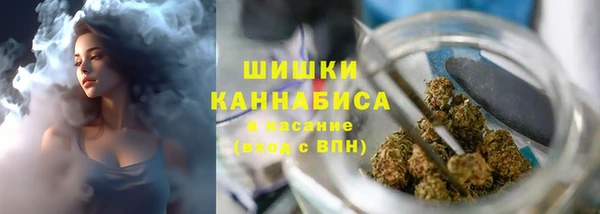 крисы Зеленокумск