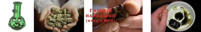 крисы Зеленокумск