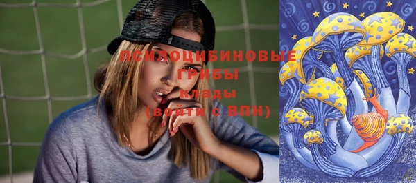 эйфоретик Заволжье