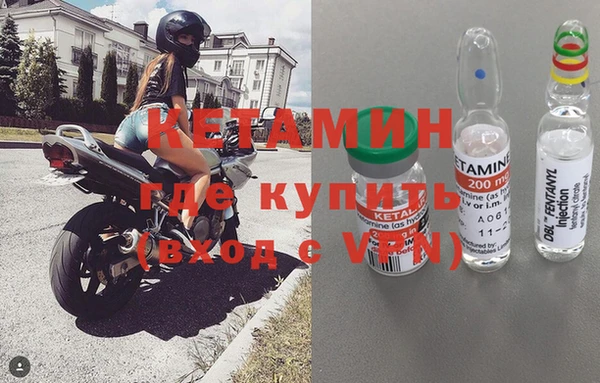 дмт Болотное