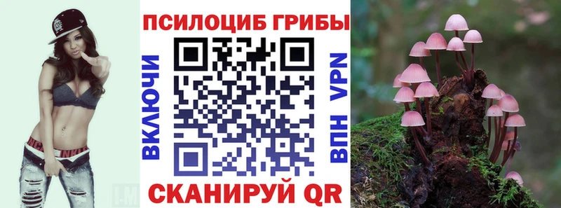 купить наркотик  Кингисепп  Галлюциногенные грибы мухоморы 